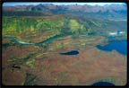 Aerial1