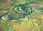 Aerial2