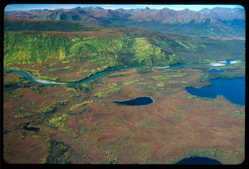 Aerial1