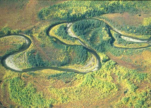 Aerial2